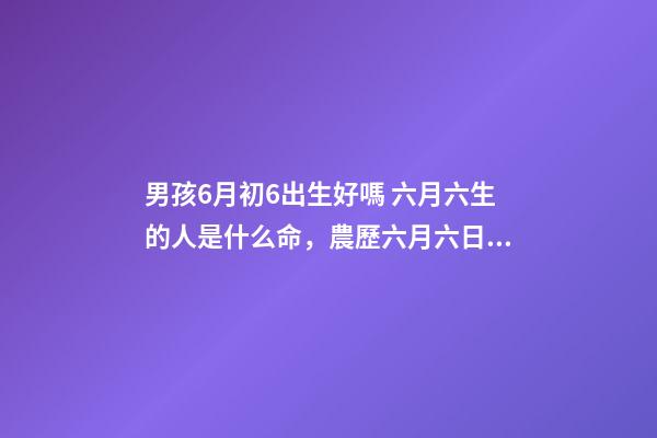 男孩6月初6出生好嗎 六月六生的人是什么命，農歷六月六日出生的人一生如何-第1張-觀點-玄機派